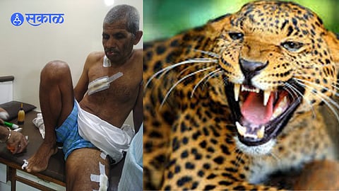 Leopard attack on farmer bakerao jadhav