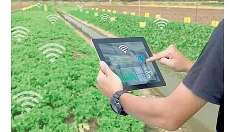 Digital Agriculture