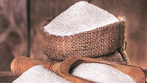 Sugar Stock