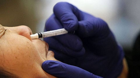 Covid 19 Nasal Vaccine