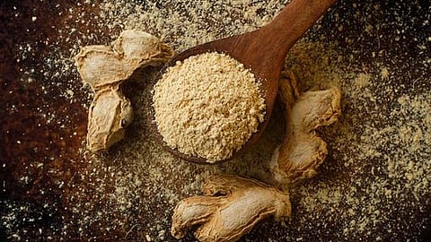 सुंठाच्या दूधाचे आरोग्यासाठी जबरदस्त फायदे; रक्तदाबासह रोगप्रतिकारशक्तही वाढवते