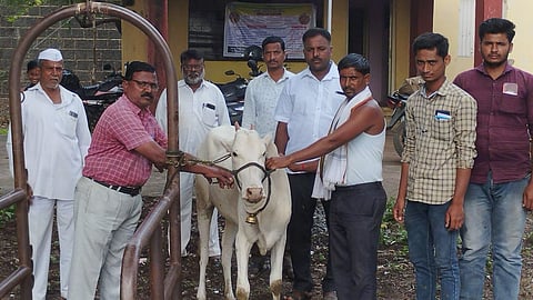 solapur
