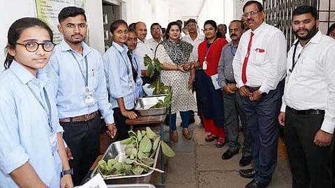 Wild Vegetable Exhibition