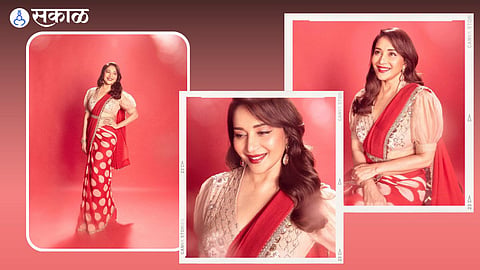 Madhuri Dixit Torlled