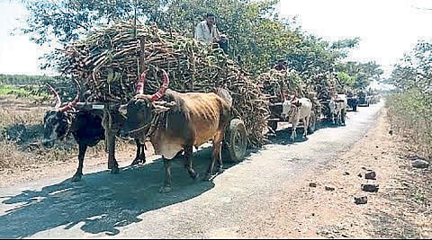 बैलगाडी