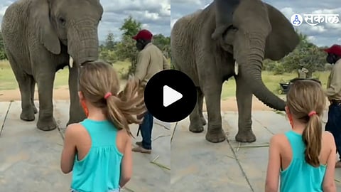 Viral Video
