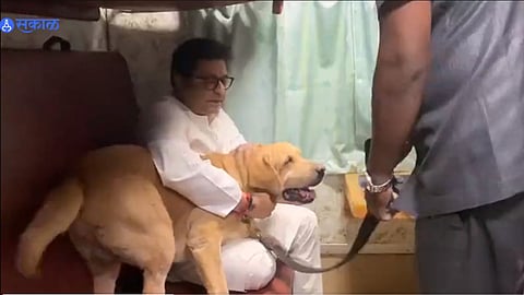 Raj Thackeray