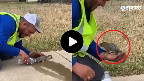 Viral Video