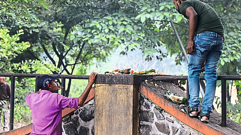 Ramkund Tapovan are getting crowded for kakasparsha
