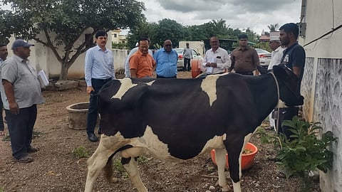 baramati