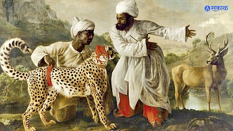 Cheetah in India