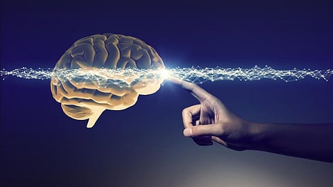brain dead