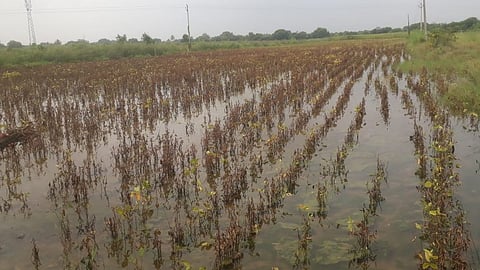 Solapur