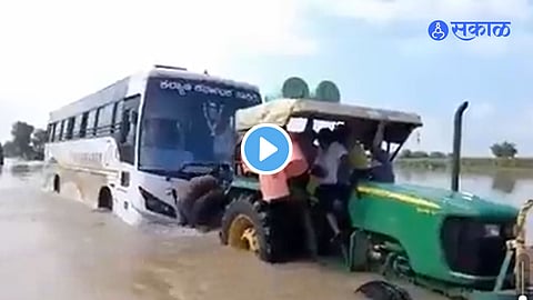 Viral Video