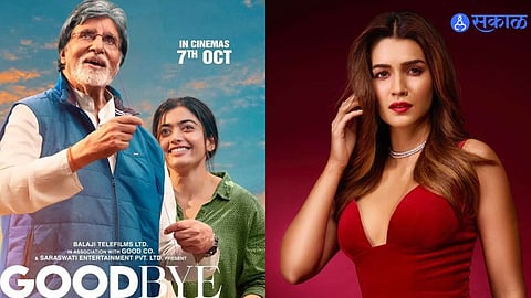 Bollywood News
Kriti sanon
Rashmika Mandanna