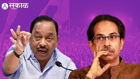 Narayan Rane