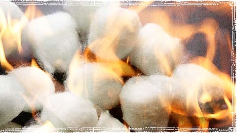 Cotton Crop Fire reference image