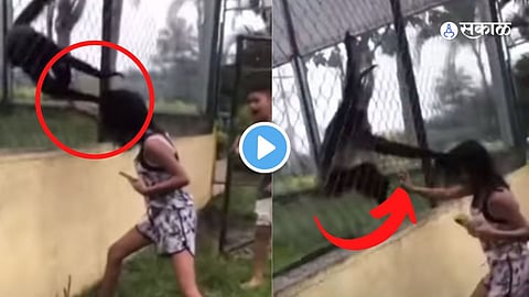 Viral Video