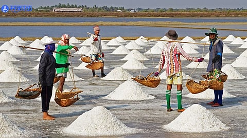 Salt Controversy