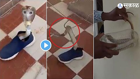 Viral Video