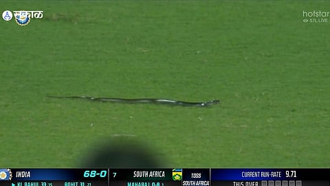 Snake Enter In Guwahati Stadium During India Vs South Africa 2nd T20I