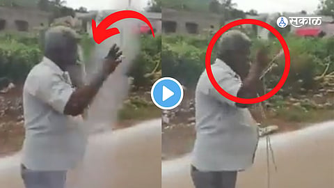 Viral Video