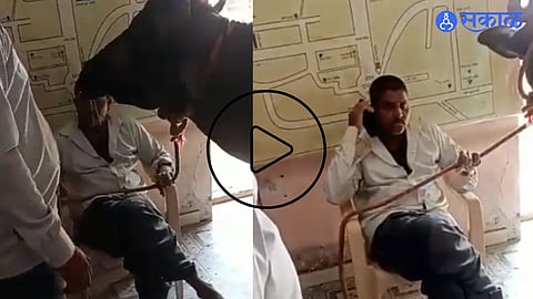 viral video