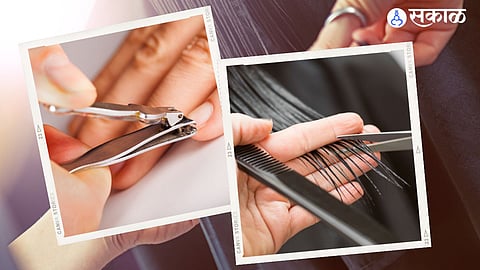 Hair & Nail Cutting