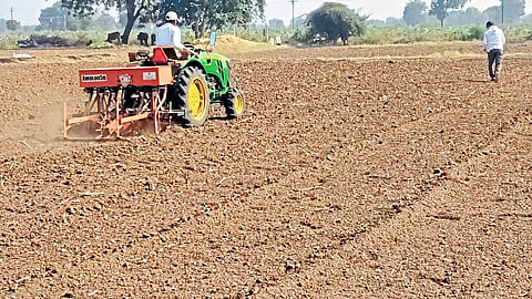 Kapdane (Dhule): When sowing wheat with a mini tractor in the field of Bhatu Vishram Patil