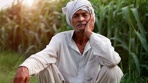 Farmer News