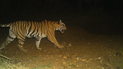 Gadchiroli news