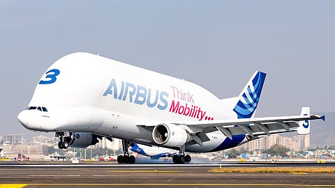 Airbus 'Beluga' comes from the Beluga whale