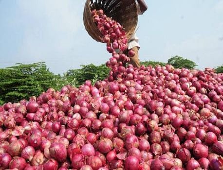 onion