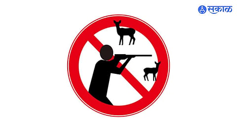 wildlife hunting permit