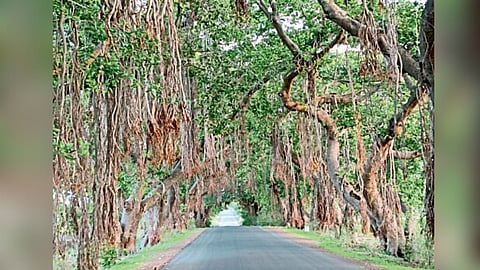 satara