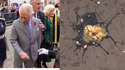 student throwing eggs at the king charles banned from carrying eggs in public