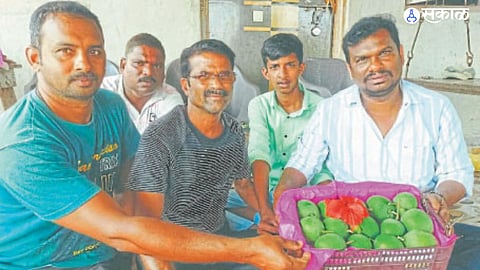 Devgad Hapus Mango