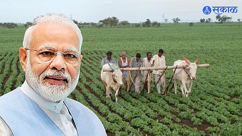 Farmer