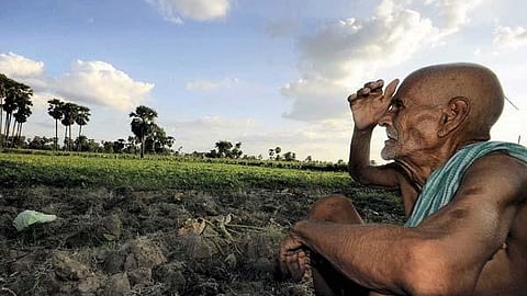 tensed farmer