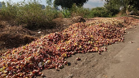 Onions on road