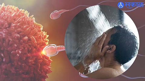 Male Fertility