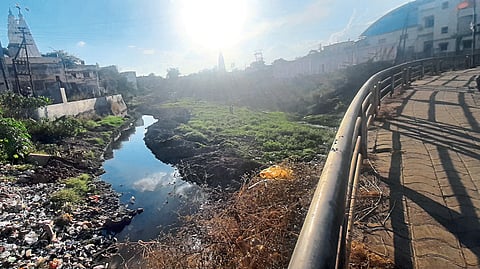 Shakambari River, which has been traveling more than 20 km in a meandering way, is in a bad condition at nandgaon
