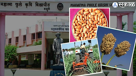 कृषी विद्यापीठे