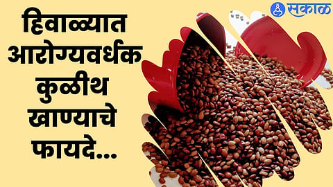 Horse gram