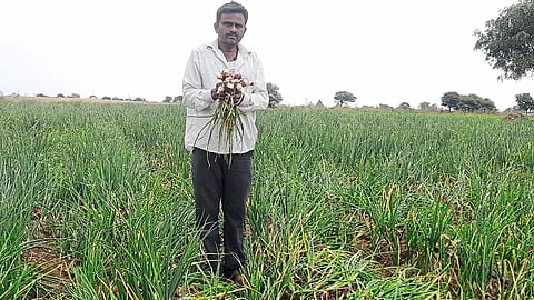 Dilip Khairnar showing the damage to onion crop in Tisgaon Shivara last year no.115.