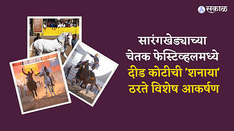 CHETAK FESTIVAL