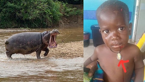Africa