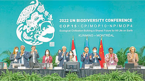 biodiversity conference