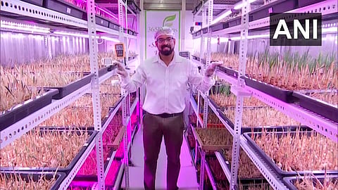 Farming