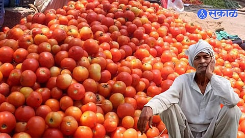 Agriculture News